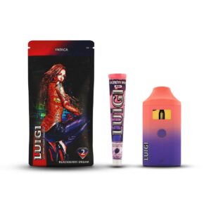 Blackberry Dream Luigi 2g Disposable